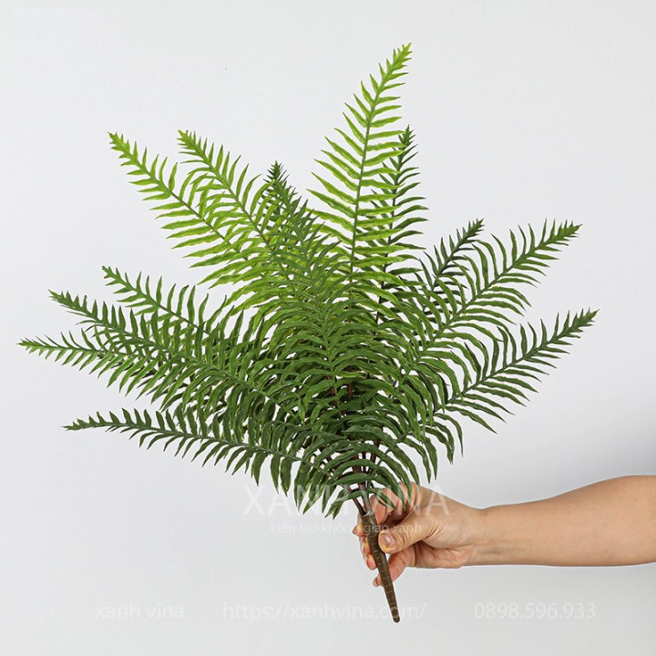 Cây giả dương xỉ hoàng đế